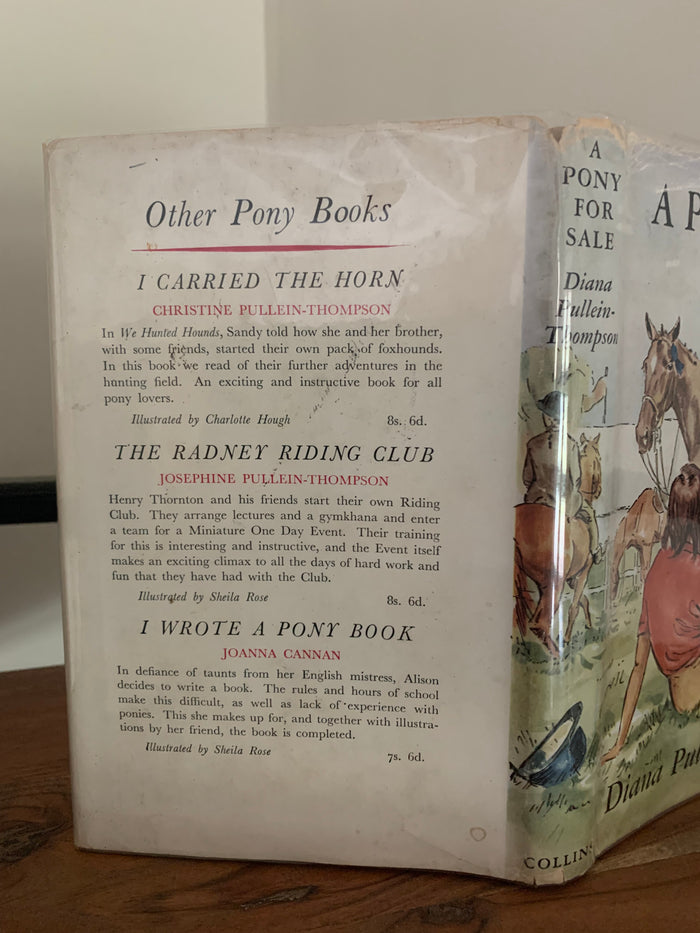 A Pony For Sale