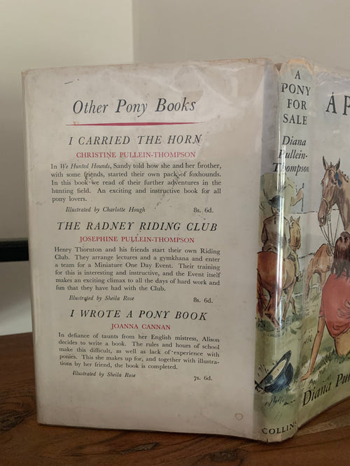A Pony For Sale