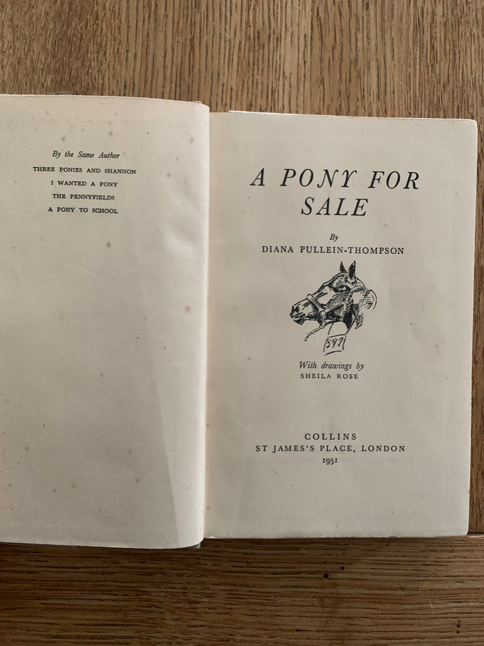 A Pony For Sale