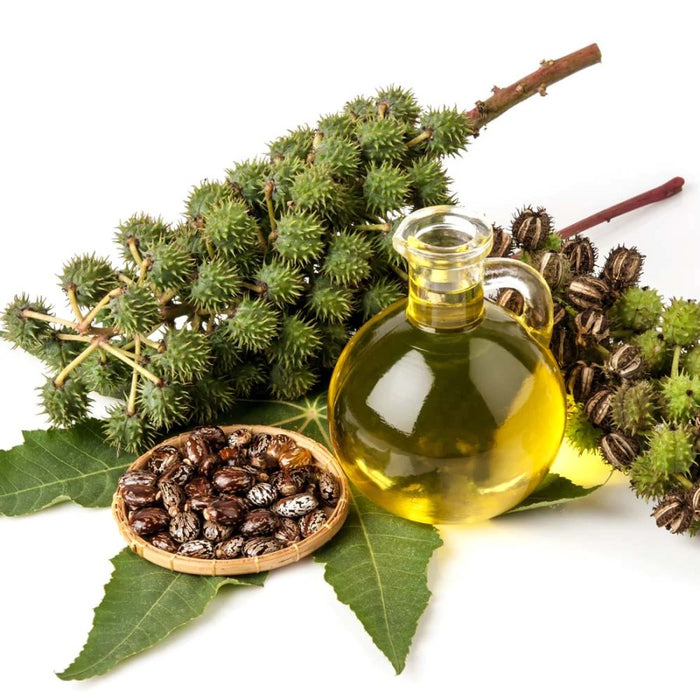BIOVENE CASTOR OIL PURE & NATURAL HAIR, SKIN & BODY NOURISHMENT 30ML - Beauty Bar