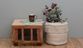 Camryn Cotton Woven Basket