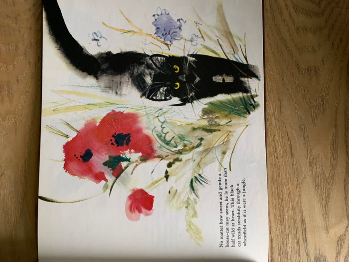 Cats
