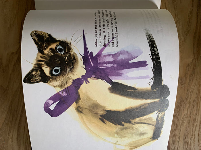 Cats