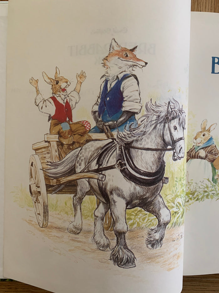 Enid Blyton's Brer Rabbit Book