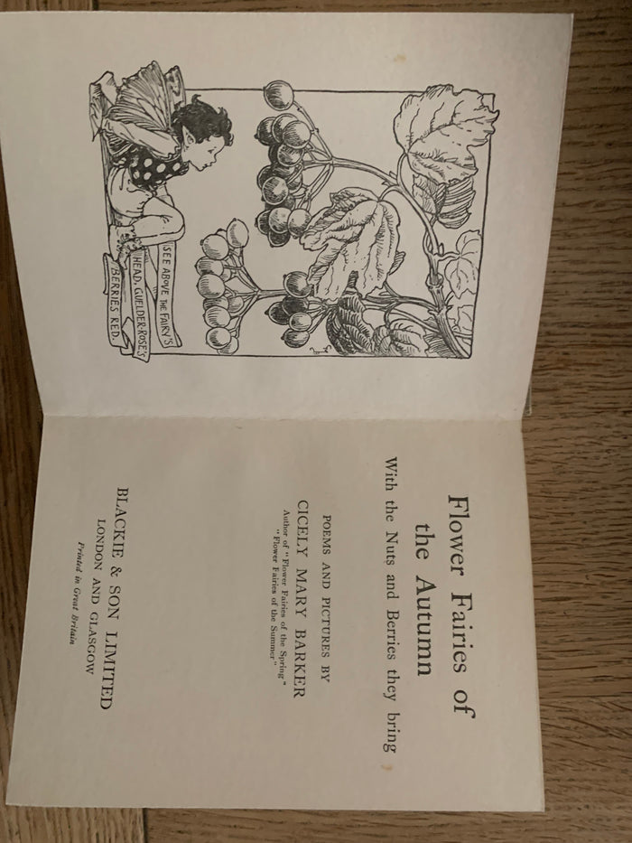 Flower Fairies of the Autumn
