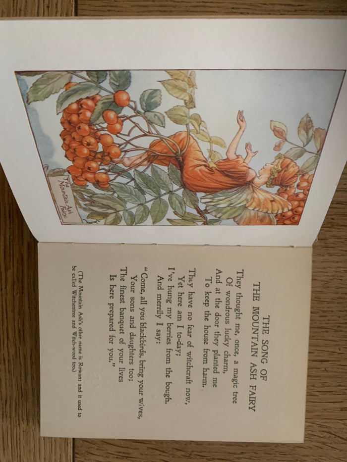Flower Fairies of the Autumn