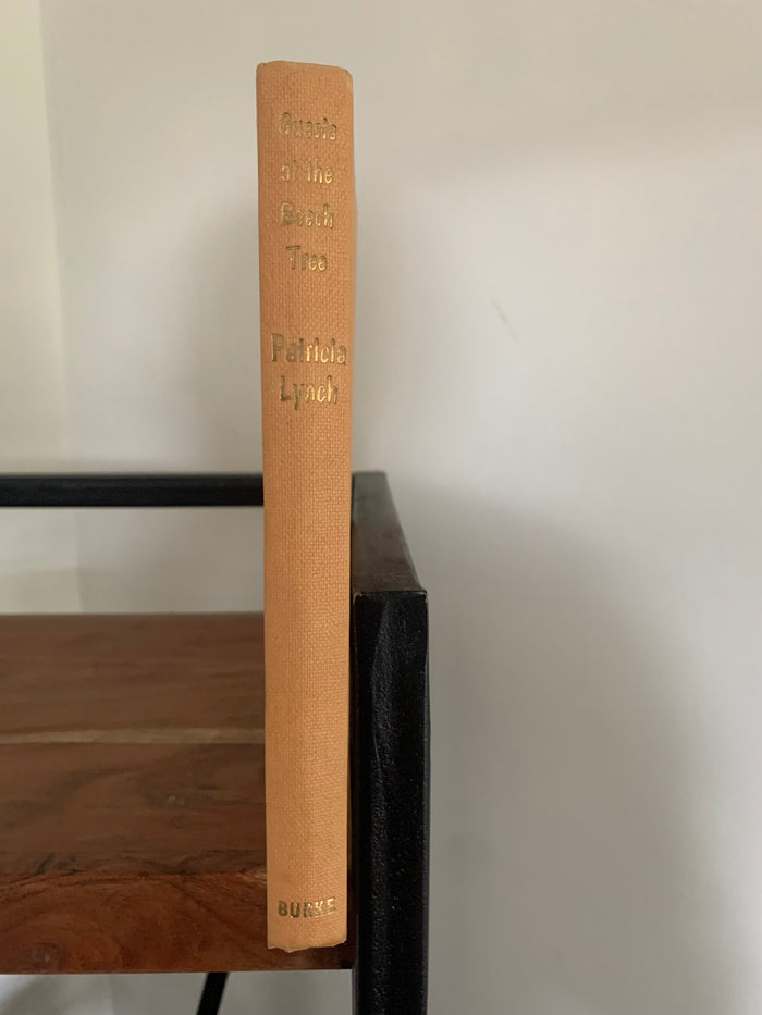 Guests at the Beech Tree - A Brogeen Story