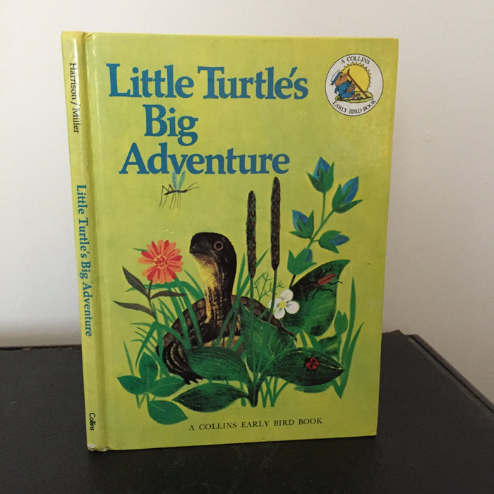 Little Turtle’s Big Adventure
