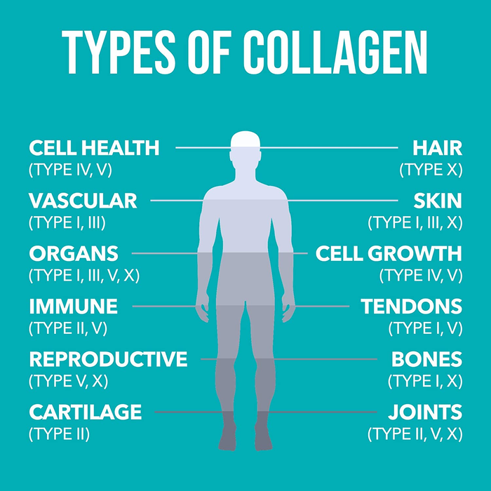 NaturesPlus Collagen Peptides Capsules