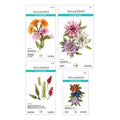 Serenity Garden - Die Bundle