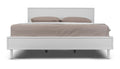 Shake It Off Bed