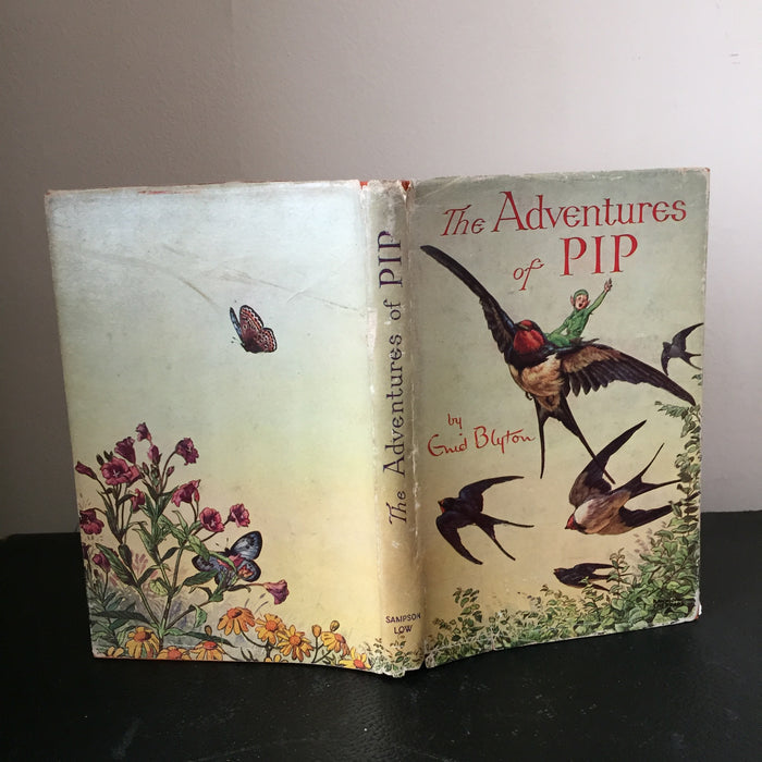 The Adventures of Pip