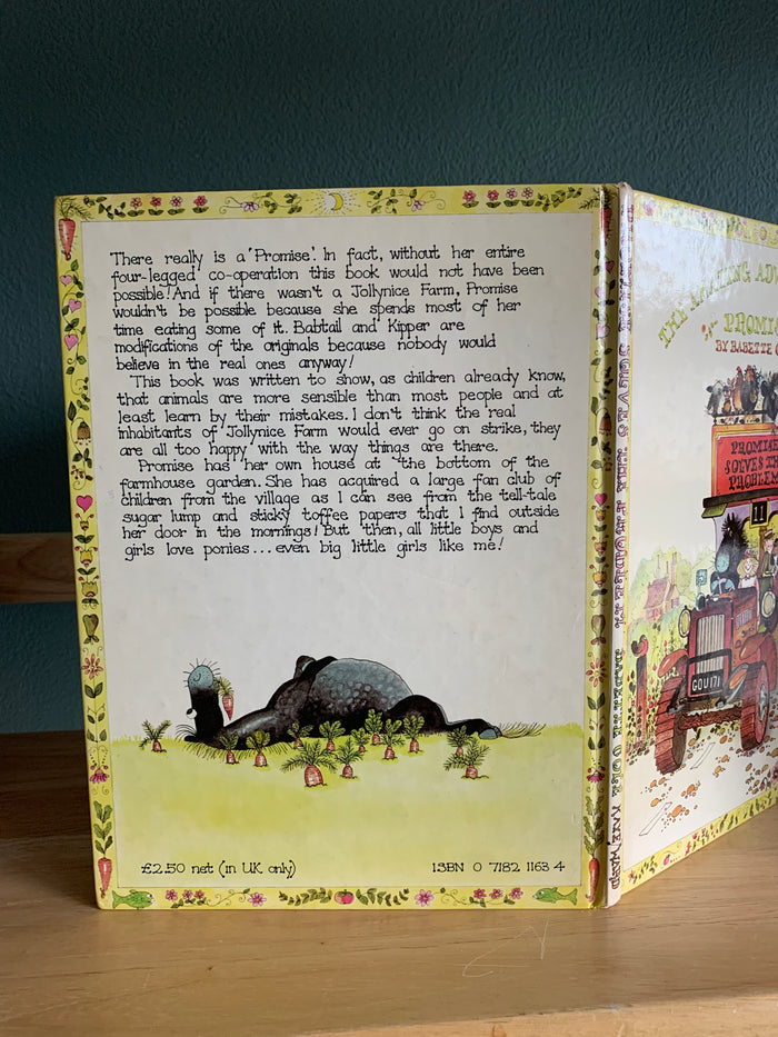 The Amazing Adventures of Promise - Promise Solves The Problem