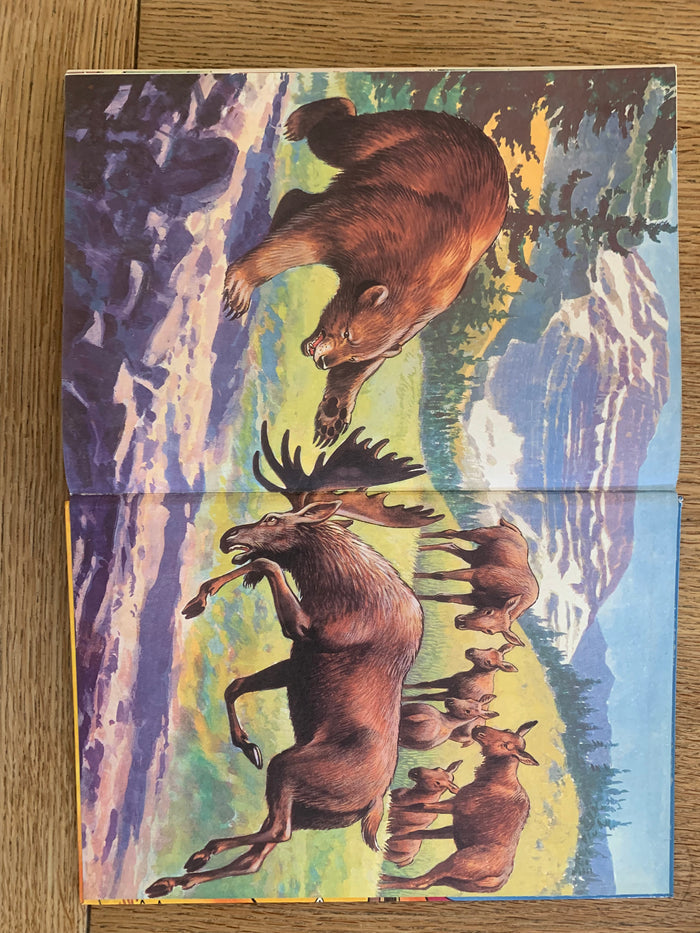 The Sparky Book for Boys and Girls 1968