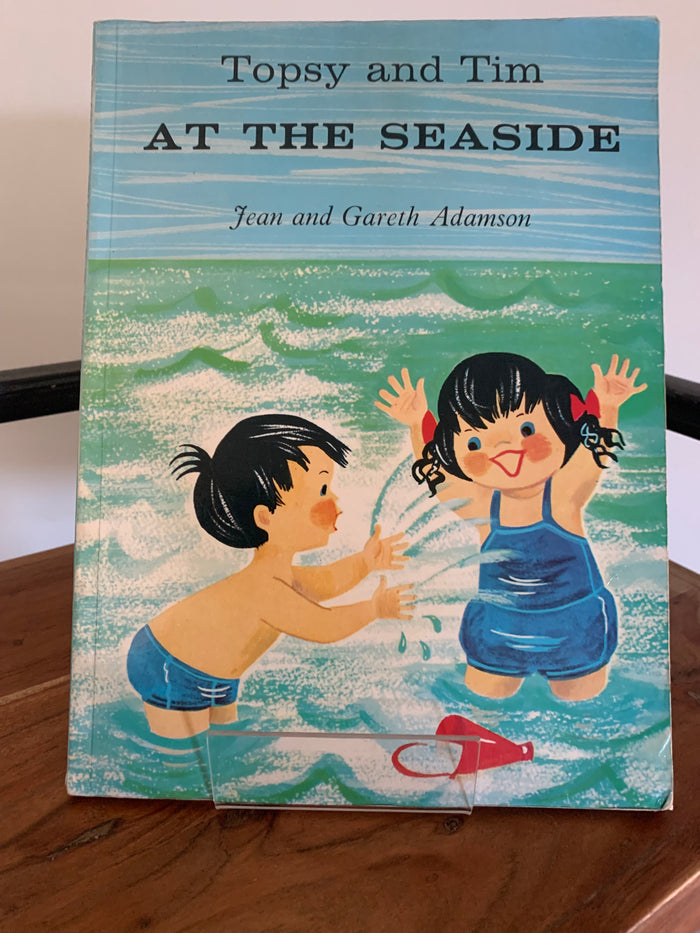 Topsy and Tim at the Seaside