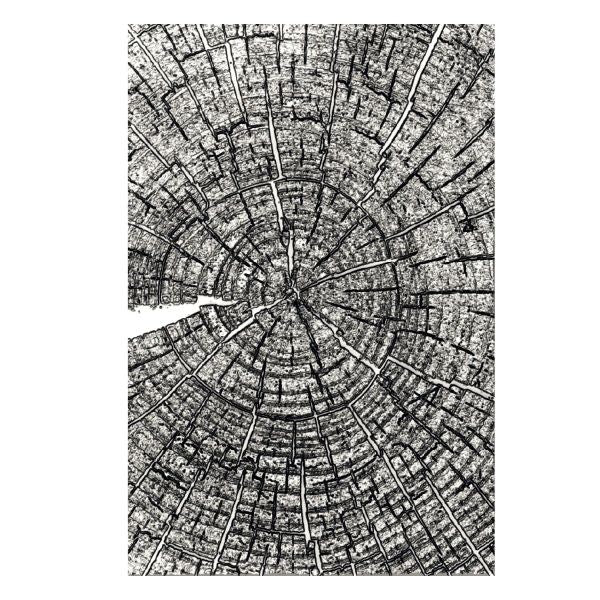 Tree Rings - 3D A5 Embossing Folder
