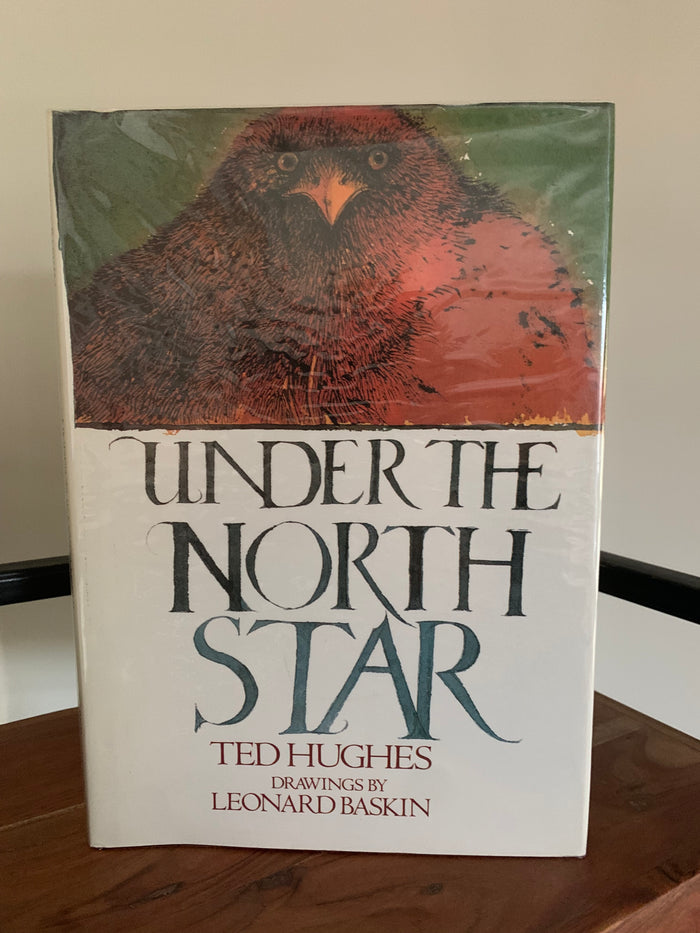 Under The North Star
