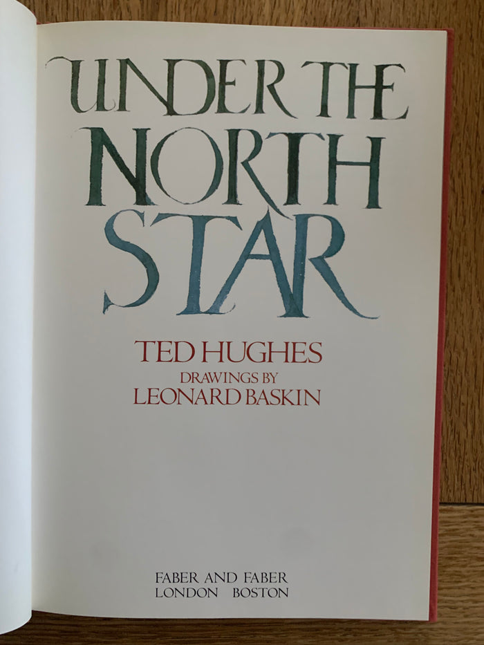Under The North Star