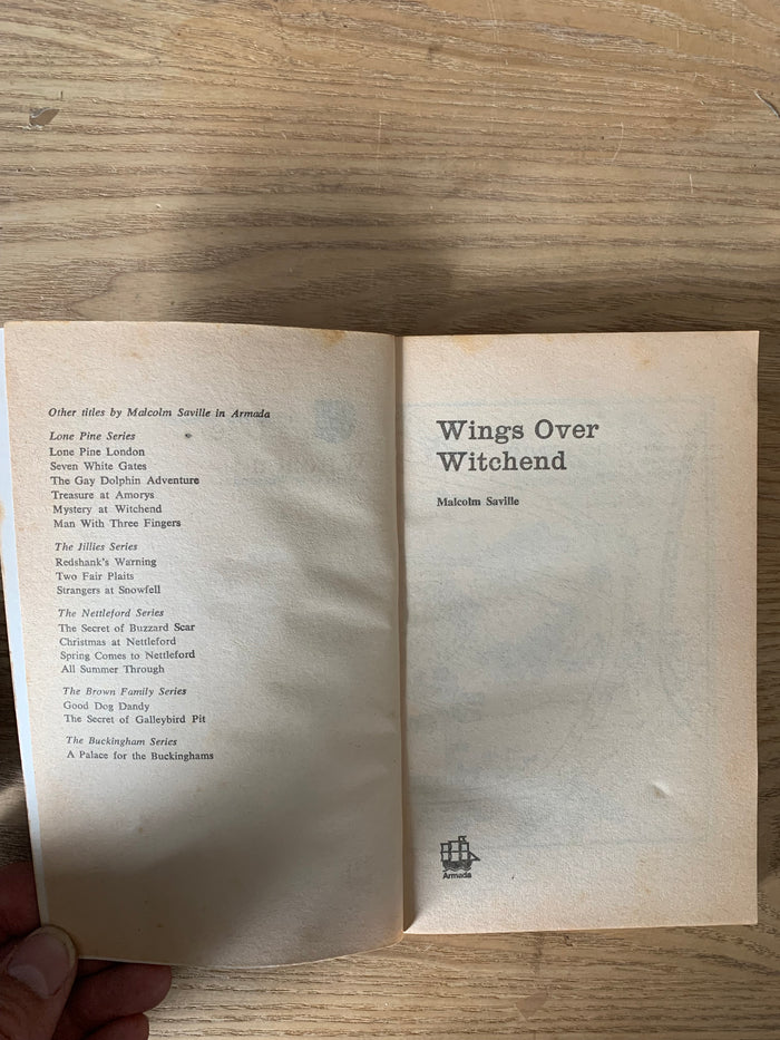 Wings Over Witchend